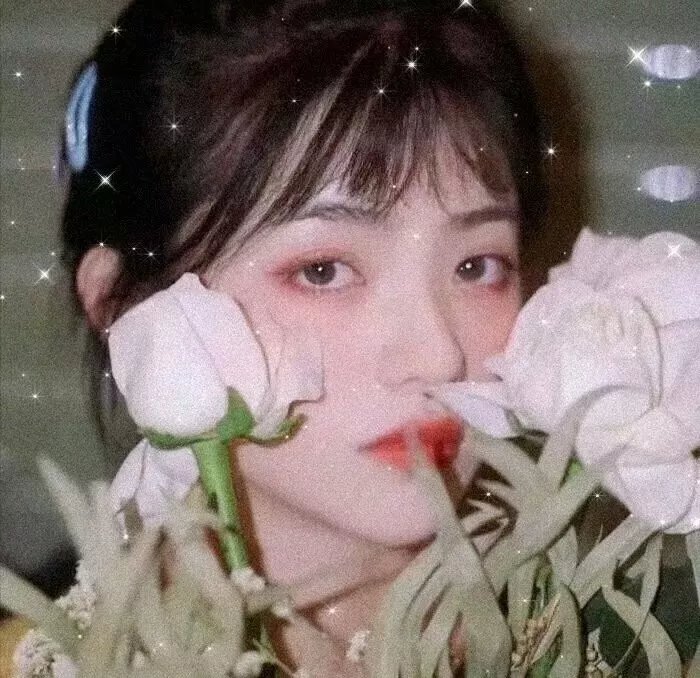 雪中真相