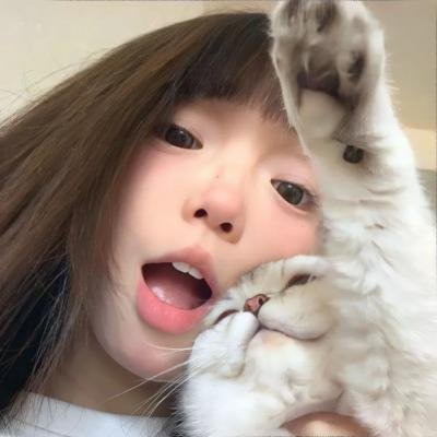 泪桥